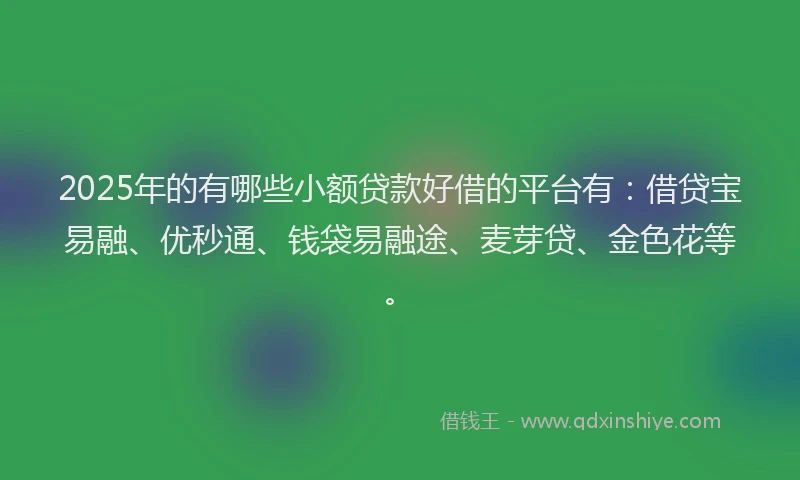 2025年的有哪些小额贷款好借的平台有：借贷宝易融、优秒通、钱袋易融途、麦芽贷、金色花等。