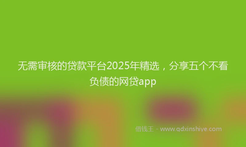 无需审核的贷款平台2025年精选，分享五个不看负债的网贷app
