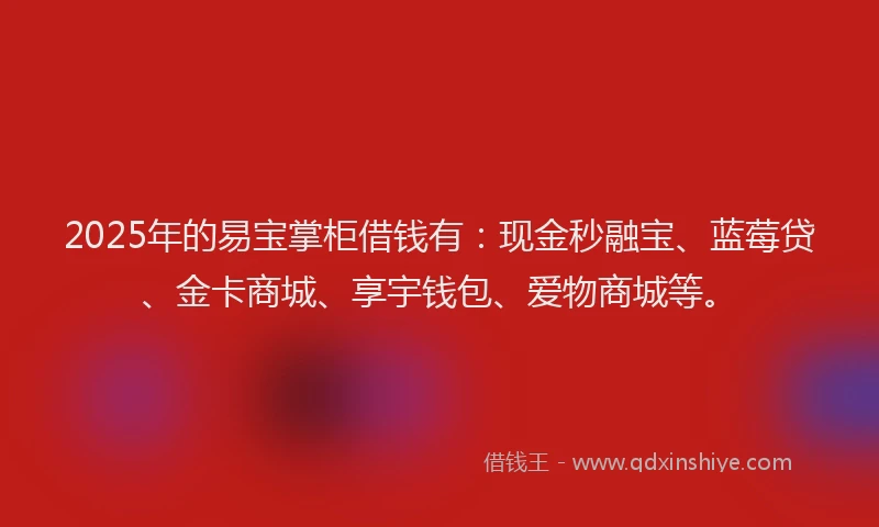 2025年的易宝掌柜借钱有：现金秒融宝、蓝莓贷、金卡商城、享宇钱包、爱物商城等。