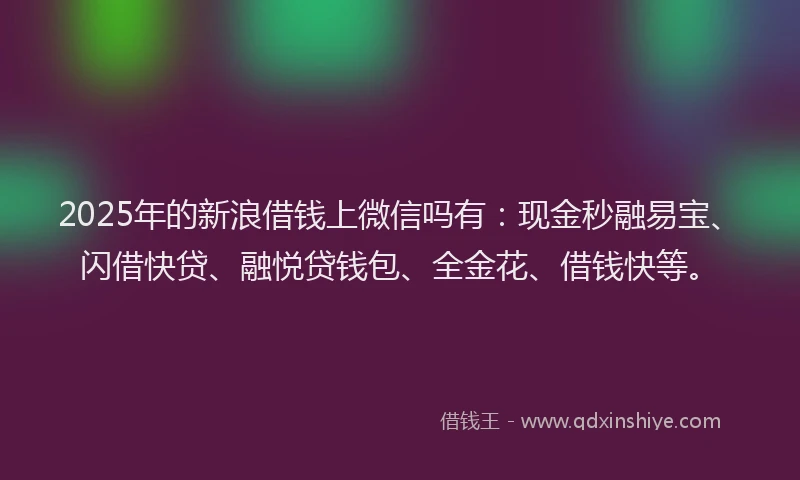 2025年的新浪借钱上微信吗有：现金秒融易宝、闪借快贷、融悦贷钱包、全金花、借钱快等。