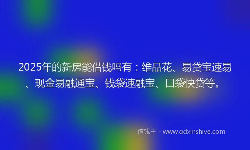 2025年的新房能借钱吗有：维品花、易贷宝速易、现金易融通宝、钱袋速融宝、口袋快贷等。