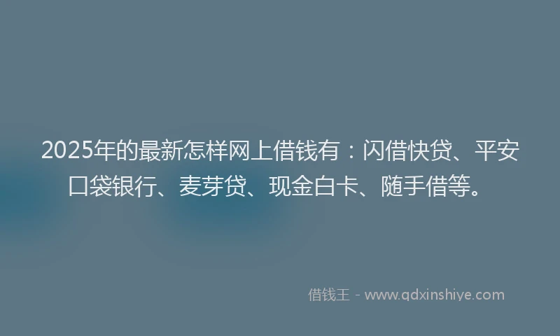 2025年的最新怎样网上借钱有：闪借快贷、平安口袋银行、麦芽贷、现金白卡、随手借等。