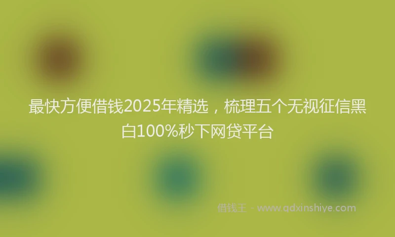 最快方便借钱2025年精选，梳理五个无视征信黑白100%秒下网贷平台