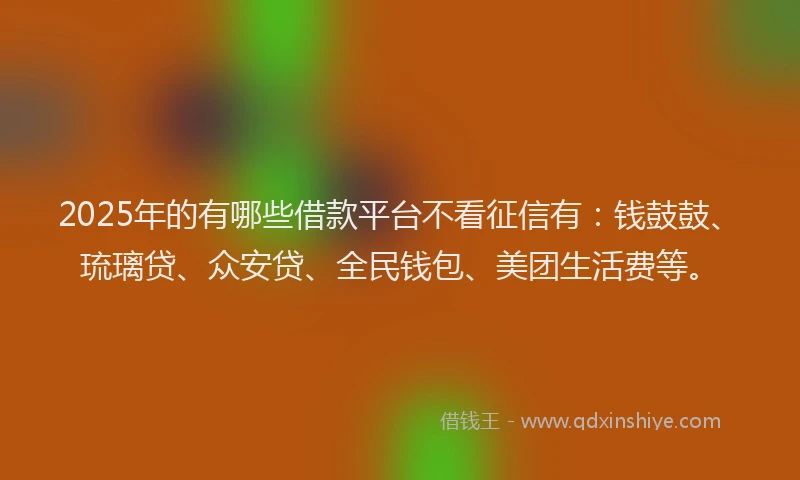 2025年的有哪些借款平台不看征信有：钱鼓鼓、琉璃贷、众安贷、全民钱包、美团生活费等。