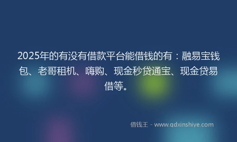 2025年的有没有借款平台能借钱的有：融易宝钱包、老哥租机、嗨购、现金秒贷通宝、现金贷易借等。