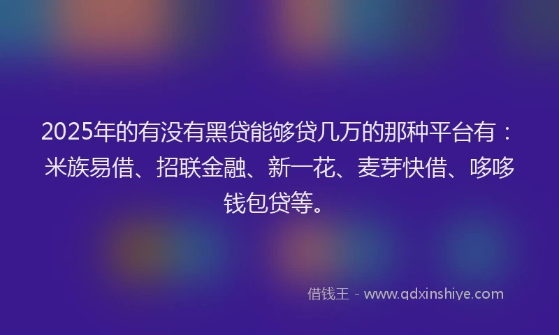 2025年的有没有黑贷能够贷几万的那种平台有：米族易借、招联金融、新一花、麦芽快借、哆哆钱包贷等。