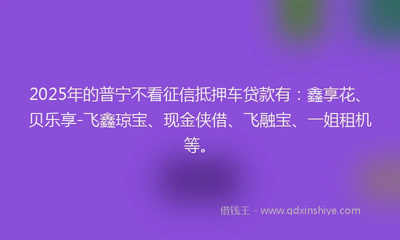 2025年的普宁不看征信抵押车贷款有：鑫享花、贝乐享-飞鑫琼宝、现金侠借、飞融宝、一姐租机等。