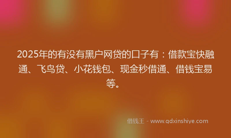 2025年的有没有黑户网贷的口子有：借款宝快融通、飞鸟贷、小花钱包、现金秒借通、借钱宝易等。
