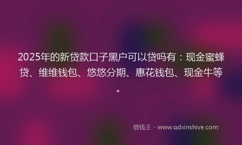 2025年的新贷款口子黑户可以贷吗有：现金蜜蜂贷、维维钱包、悠悠分期、惠花钱包、现金牛等。