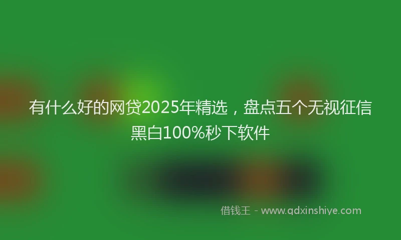 有什么好的网贷2025年精选，盘点五个无视征信黑白100%秒下软件