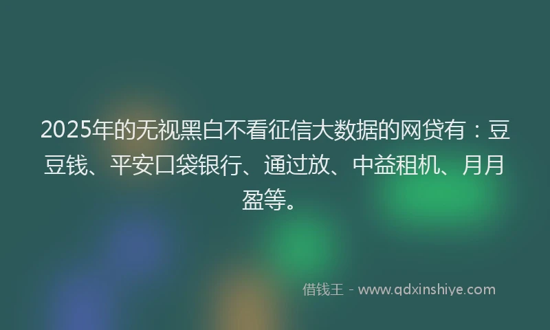 2025年的无视黑白不看征信大数据的网贷有：豆豆钱、平安口袋银行、通过放、中益租机、月月盈等。