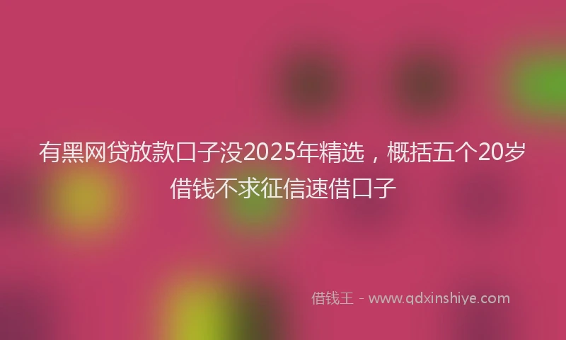 有黑网贷放款口子没2025年精选，概括五个20岁借钱不求征信速借口子