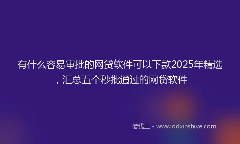 有什么容易审批的网贷软件可以下款2025年精选，汇总五个秒批通过的网贷软件