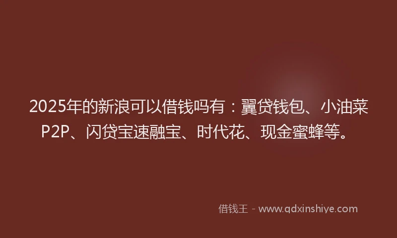 2025年的新浪可以借钱吗有：翼贷钱包、小油菜P2P、闪贷宝速融宝、时代花、现金蜜蜂等。