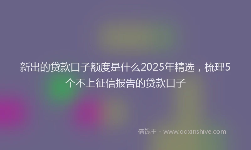 新出的贷款口子额度是什么2025年精选，梳理5个不上征信报告的贷款口子