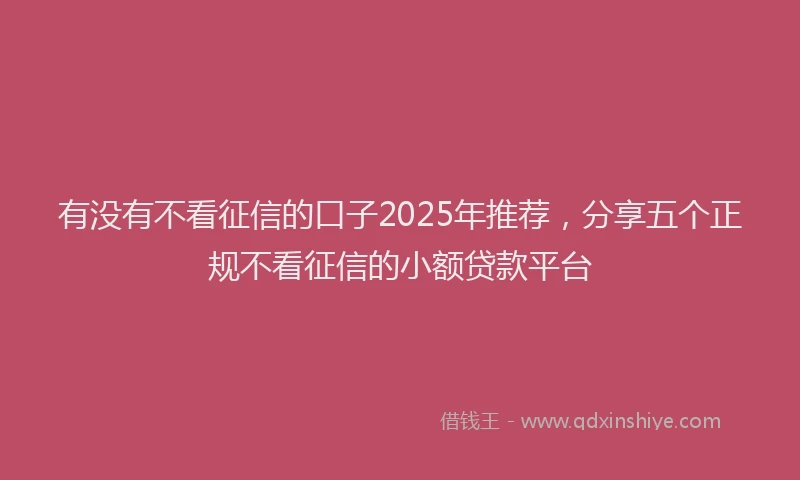 有没有不看征信的口子2025年推荐，分享五个正规不看征信的小额贷款平台