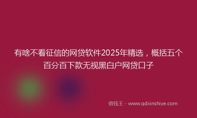 有啥不看征信的网贷软件2025年精选，概括五个百分百下款无视黑白户网贷口子