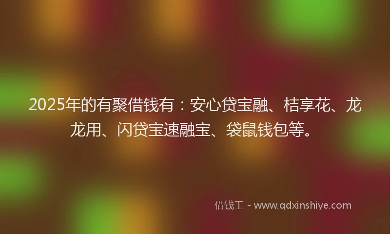 2025年的有聚借钱有：安心贷宝融、桔享花、龙龙用、闪贷宝速融宝、袋鼠钱包等。