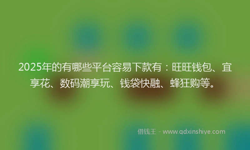 2025年的有哪些平台容易下款有：旺旺钱包、宜享花、数码潮享玩、钱袋快融、蜂狂购等。