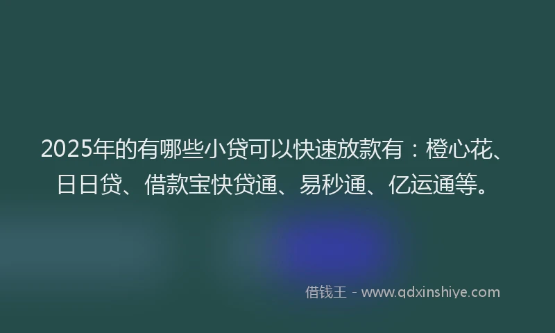 2025年的有哪些小贷可以快速放款有：橙心花、日日贷、借款宝快贷通、易秒通、亿运通等。