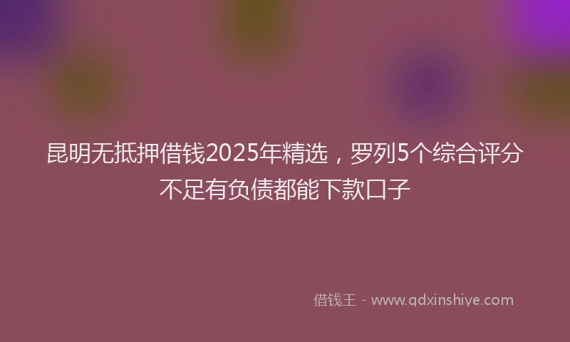 昆明无抵押借钱2025年精选，罗列5个综合评分不足有负债都能下款口子