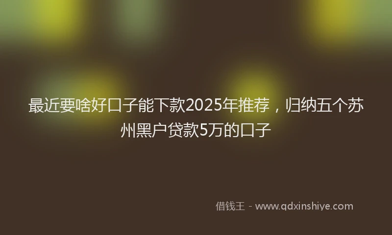 最近要啥好口子能下款2025年推荐，归纳五个苏州黑户贷款5万的口子