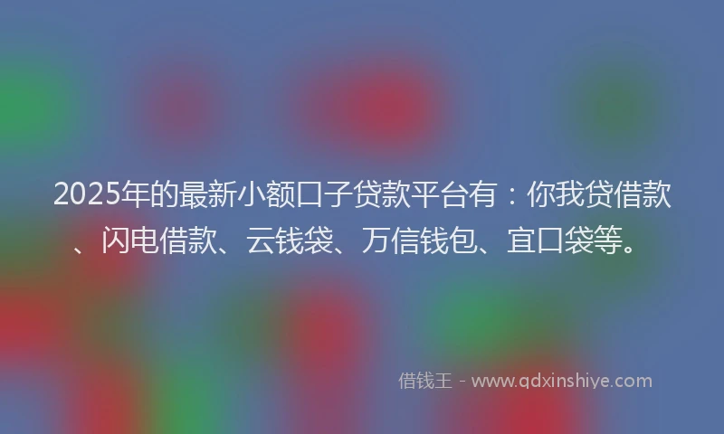 2025年的最新小额口子贷款平台有：你我贷借款、闪电借款、云钱袋、万信钱包、宜口袋等。