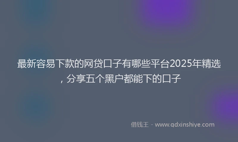 最新容易下款的网贷口子有哪些平台2025年精选，分享五个黑户都能下的口子