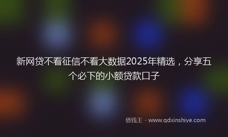 新网贷不看征信不看大数据2025年精选，分享五个必下的小额贷款口子