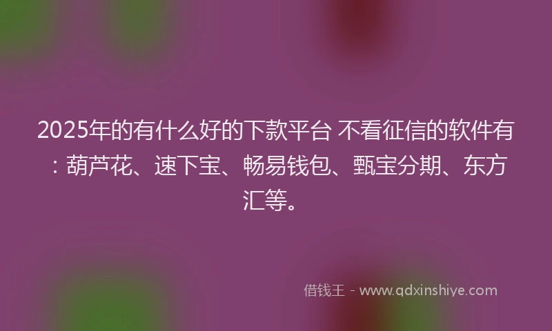 2025年的有什么好的下款平台 不看征信的软件有：葫芦花、速下宝、畅易钱包、甄宝分期、东方汇等。