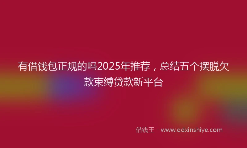 有借钱包正规的吗2025年推荐，总结五个摆脱欠款束缚贷款新平台