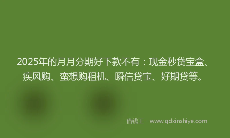 2025年的月月分期好下款不有：现金秒贷宝盒、疾风购、蛮想购租机、瞬信贷宝、好期贷等。