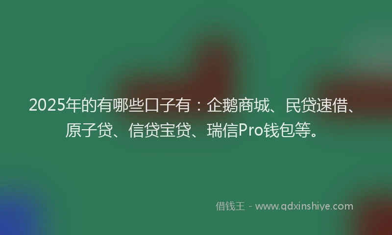 2025年的有哪些口子有：企鹅商城、民贷速借、原子贷、信贷宝贷、瑞信Pro钱包等。