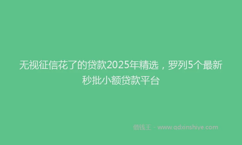 无视征信花了的贷款2025年精选，罗列5个最新秒批小额贷款平台