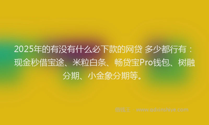 2025年的有没有什么必下款的网贷 多少都行有：现金秒借宝途、米粒白条、畅贷宝Pro钱包、树融分期、小金象分期等。
