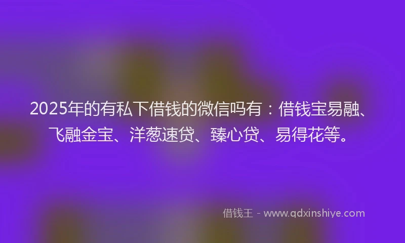 2025年的有私下借钱的微信吗有：借钱宝易融、飞融金宝、洋葱速贷、臻心贷、易得花等。