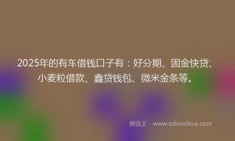 2025年的有车借钱口子有：好分期、固金快贷、小麦粒借款、鑫贷钱包、微米金条等。