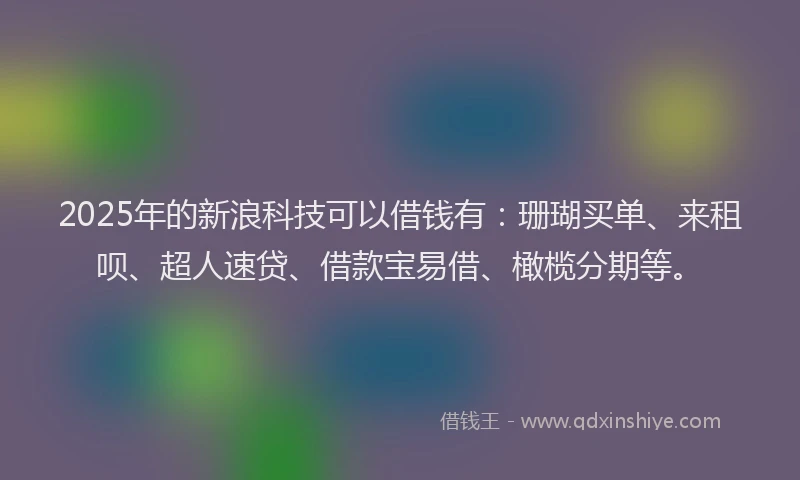 2025年的新浪科技可以借钱有：珊瑚买单、来租呗、超人速贷、借款宝易借、橄榄分期等。