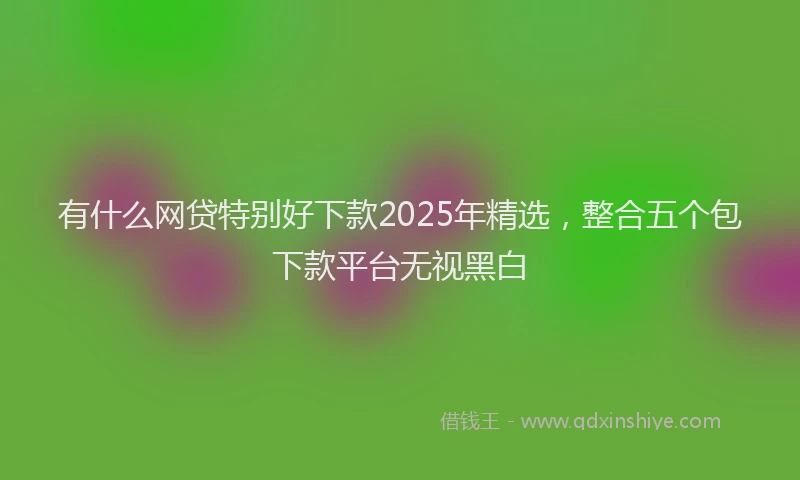 有什么网贷特别好下款2025年精选，整合五个包下款平台无视黑白