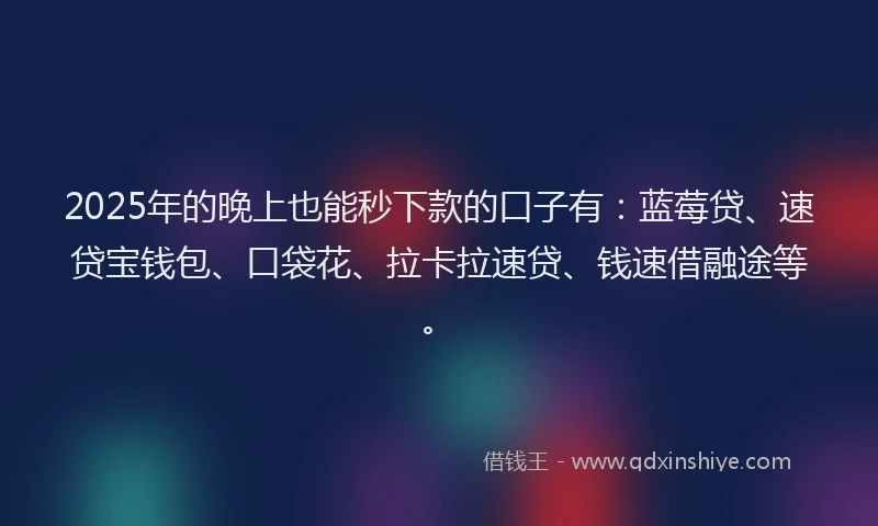 2025年的晚上也能秒下款的口子有：蓝莓贷、速贷宝钱包、口袋花、拉卡拉速贷、钱速借融途等。