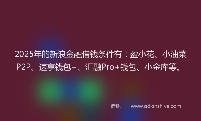 2025年的新浪金融借钱条件有：盈小花、小油菜P2P、速享钱包+、汇融Pro+钱包、小金库等。