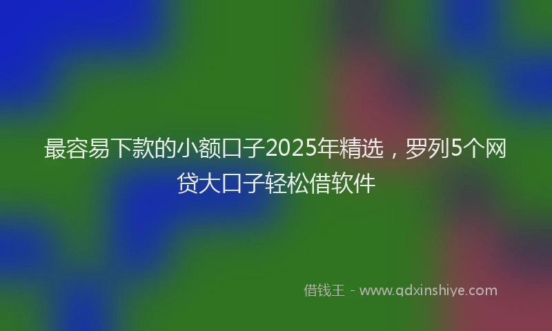 最容易下款的小额口子2025年精选，罗列5个网贷大口子轻松借软件