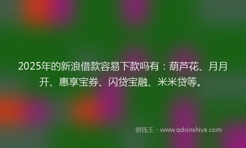 2025年的新浪借款容易下款吗有：葫芦花、月月开、惠享宝券、闪贷宝融、米米贷等。