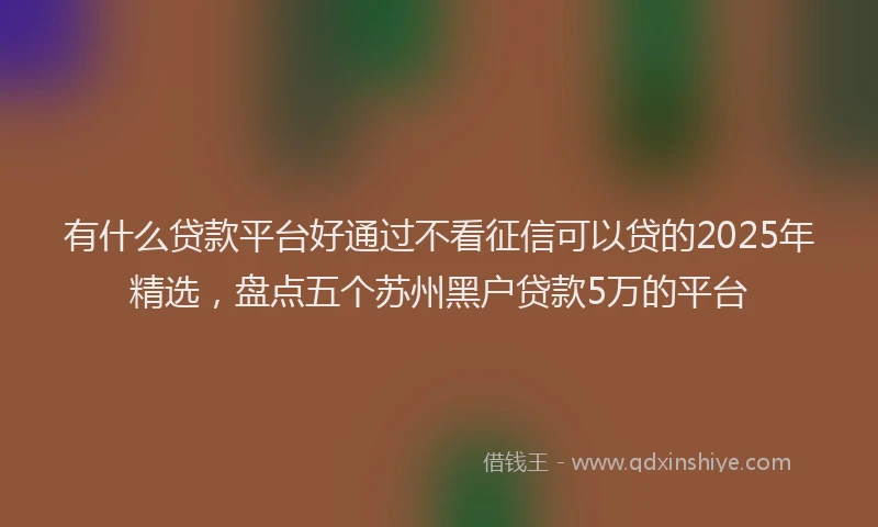 有什么贷款平台好通过不看征信可以贷的2025年精选，盘点五个苏州黑户贷款5万的平台