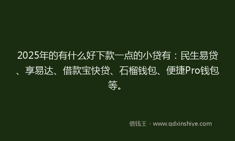 2025年的有什么好下款一点的小贷有：民生易贷、享易达、借款宝快贷、石榴钱包、便捷Pro钱包等。