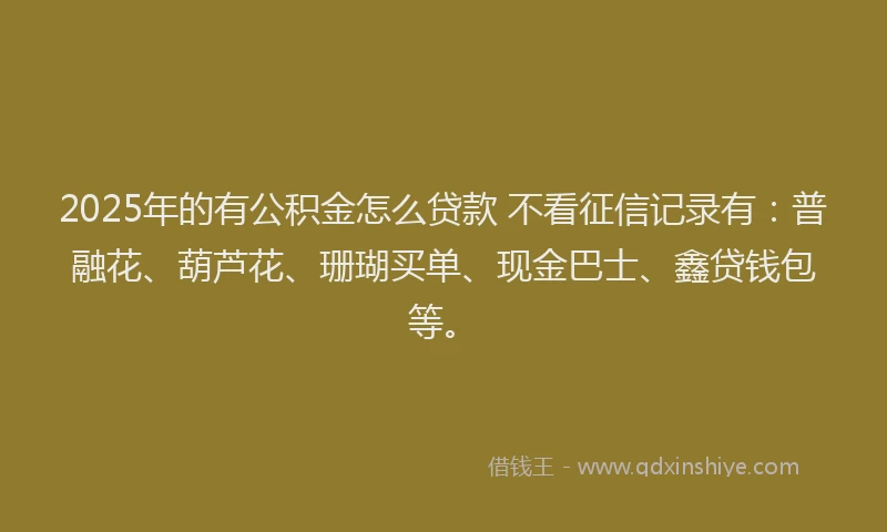 2025年的有公积金怎么贷款 不看征信记录有：普融花、葫芦花、珊瑚买单、现金巴士、鑫贷钱包等。
