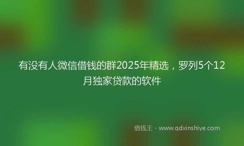 有没有人微信借钱的群2025年精选，罗列5个12月独家贷款的软件
