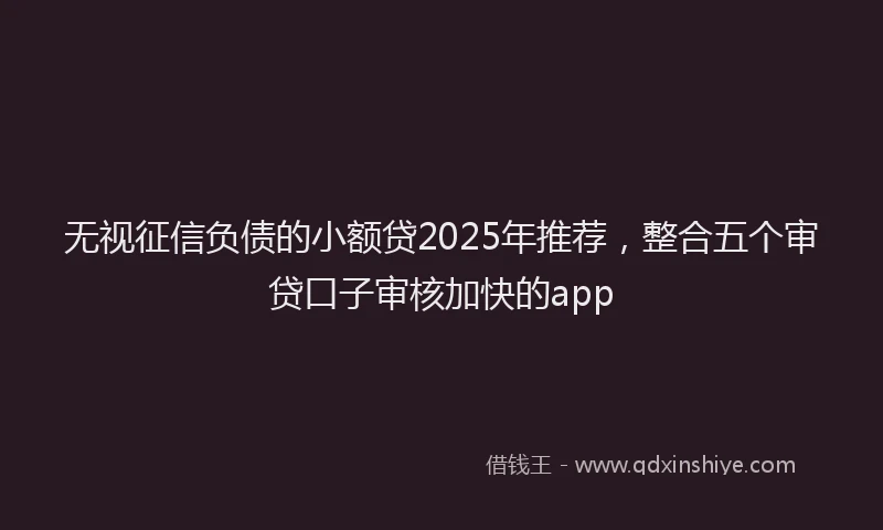无视征信负债的小额贷2025年推荐，整合五个审贷口子审核加快的app