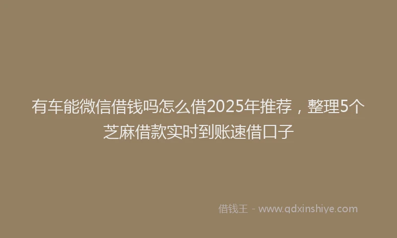 有车能微信借钱吗怎么借2025年推荐，整理5个芝麻借款实时到账速借口子