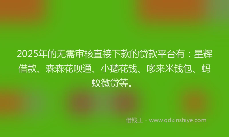 2025年的无需审核直接下款的贷款平台有：星辉借款、森森花呗通、小鹅花钱、哆来米钱包、蚂蚁微贷等。